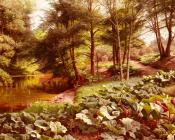 The Path On The River's Edge - 佩德·莫克·曼斯特德